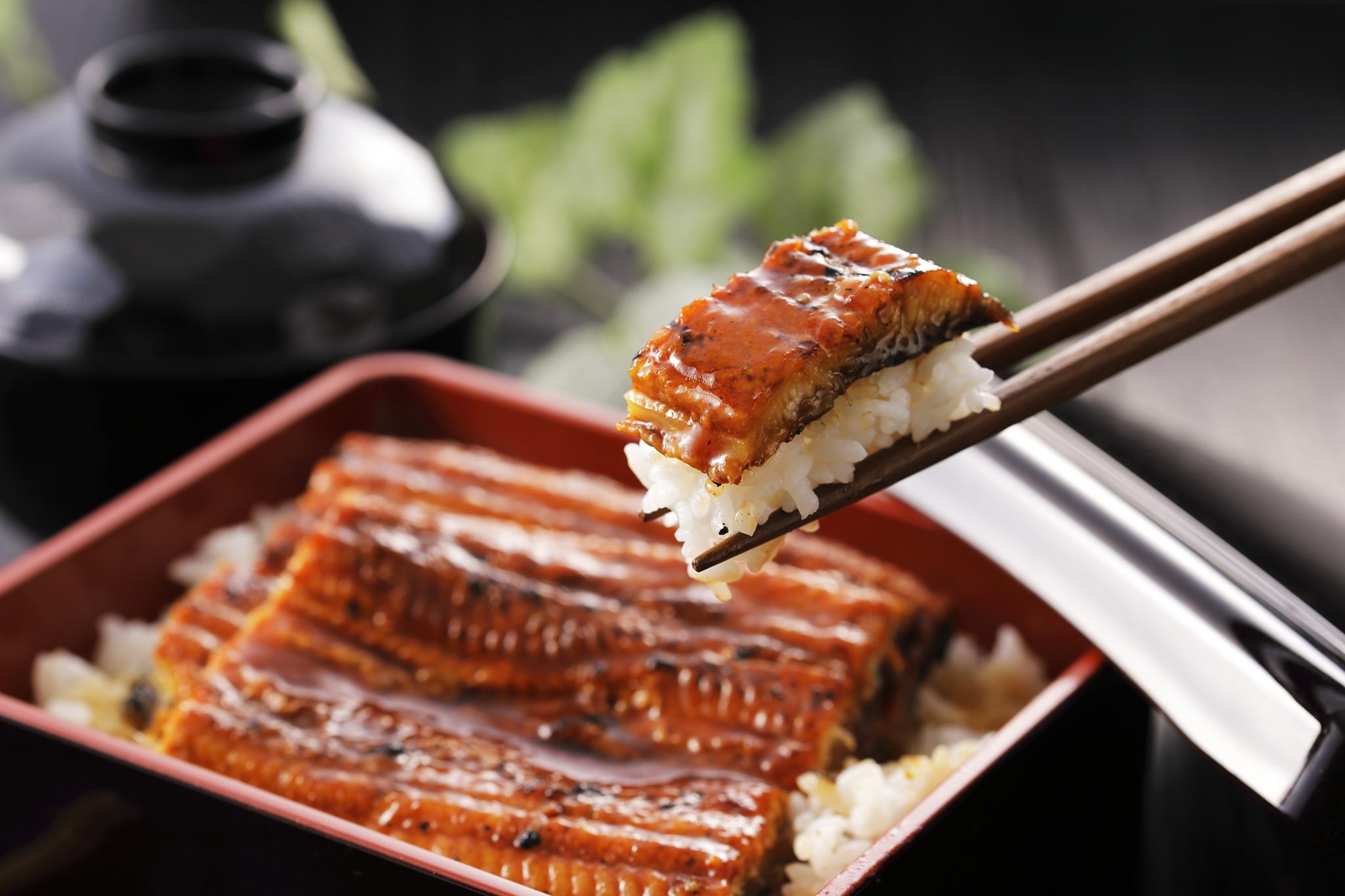 The History Of Kabayaki, The Japanese Eel • Eat Blue™