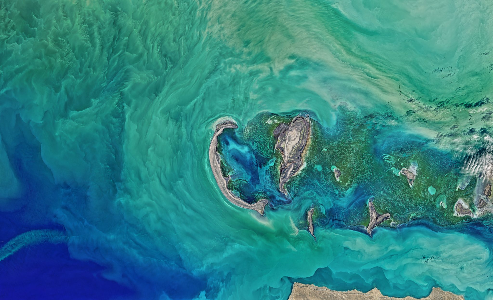 calculating-your-footprint-and-your-foodprint-eat-blue